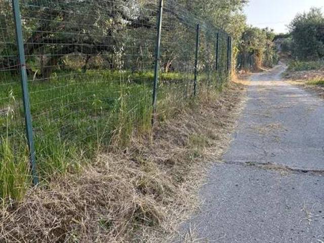 Terreno in vendita a Tortorici, Sicilia