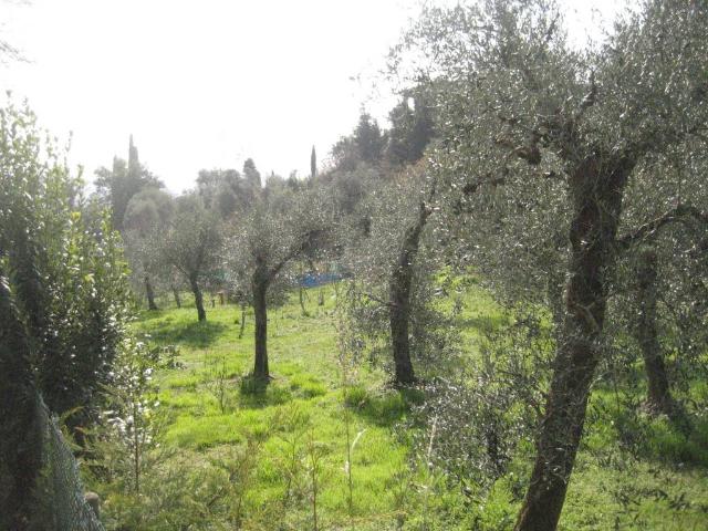 Terreno in vendita a Comunità Montana Parco Alto Garda bresciano, Toscolano Maderno