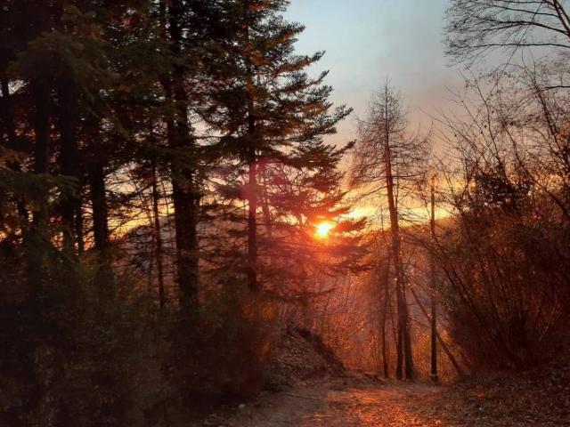 Terreno in vendita a Comunità Montana Parco Alto Garda bresciano, Toscolano Maderno