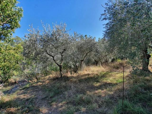 Terreno in vendita a Tovo San Giacomo, Liguria