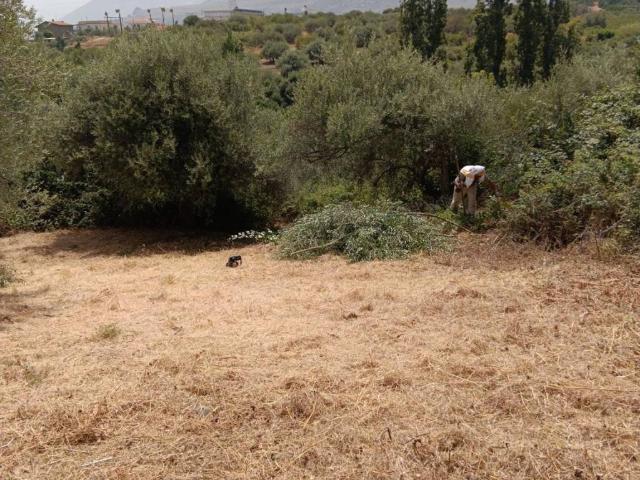 Terreno in vendita a San Nicola l'Arena, Trabia