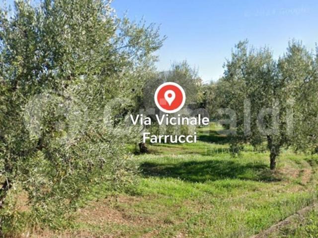 Terreno in vendita a Puglia, Barletta-andria-trani