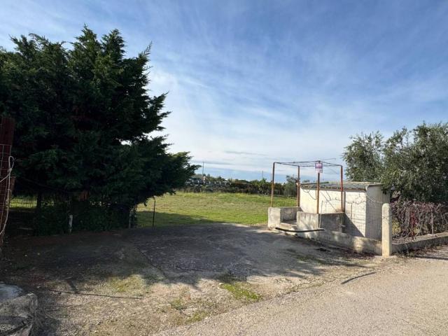 Terreno in vendita a Puglia, Barletta-andria-trani