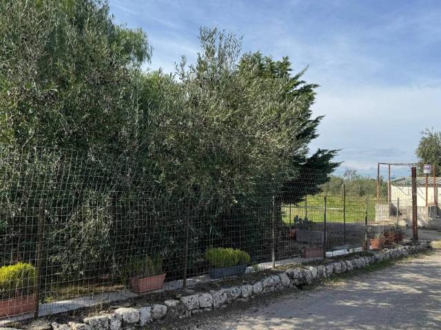 Terreno in vendita a Puglia, Barletta-andria-trani