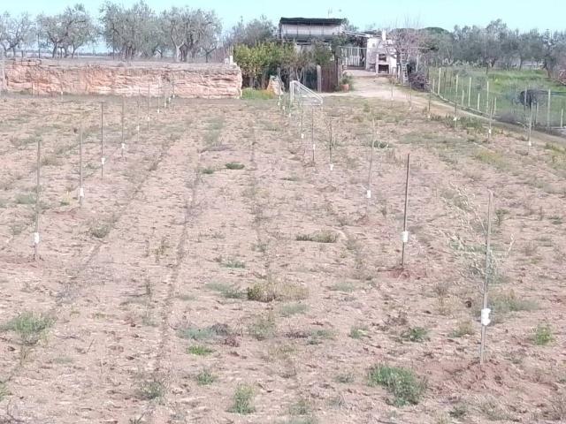 Terreno in vendita a Puglia, Barletta-andria-trani