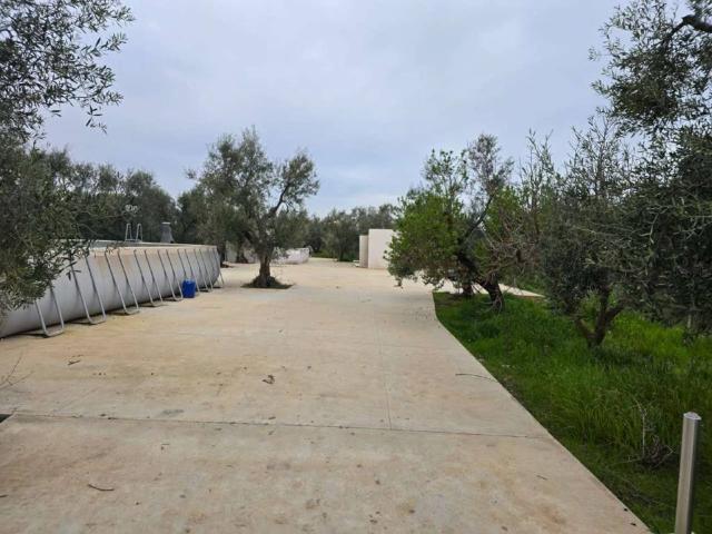 Terreno in vendita a Puglia, Barletta-andria-trani