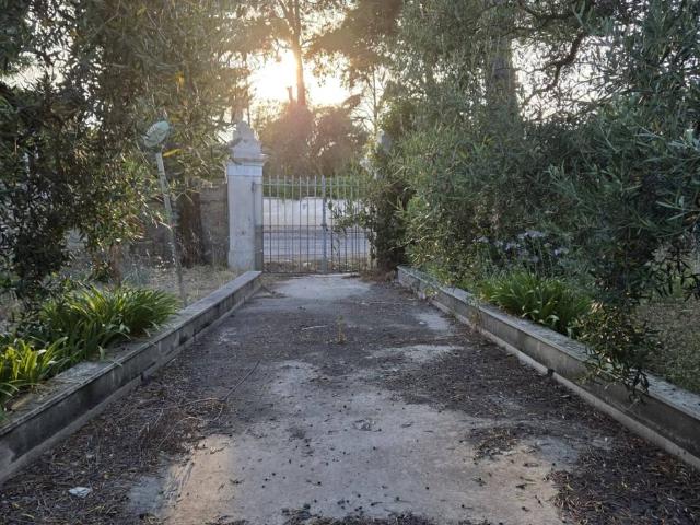 Terreno in vendita a Puglia, Barletta-andria-trani