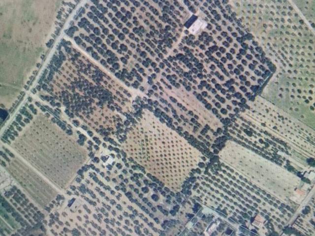 Terreno in vendita a Puglia, Barletta-andria-trani