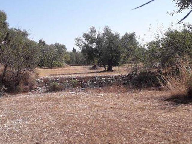 Terreno in vendita a Puglia, Barletta-andria-trani