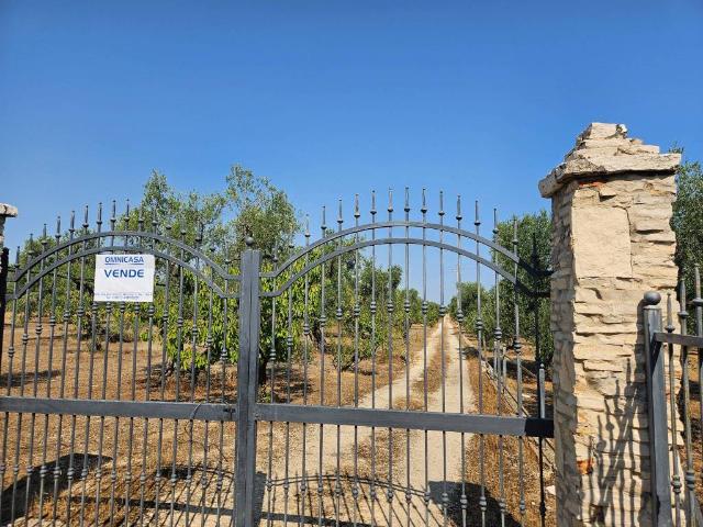 Terreno in vendita a Puglia, Barletta-andria-trani