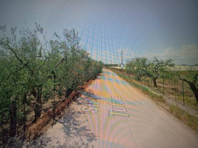 Terreno in vendita a Puglia, Barletta-andria-trani
