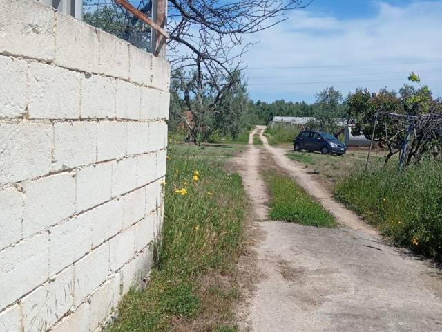 Terreno in vendita a Puglia, Barletta-andria-trani