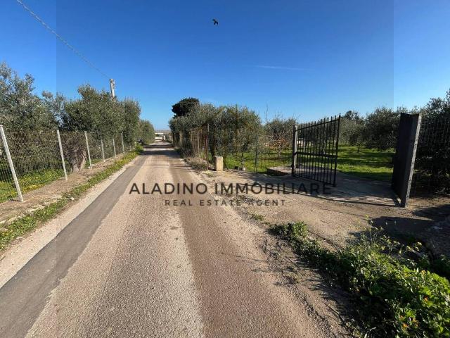 Terreno in vendita a Puglia, Barletta-andria-trani