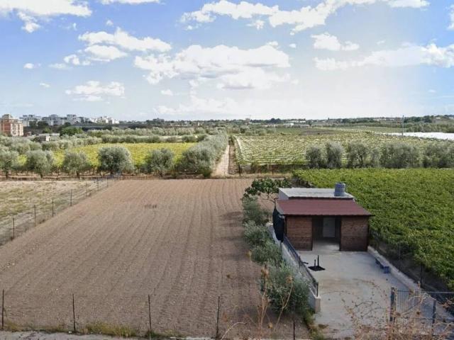 Terreno in vendita a Puglia, Barletta-andria-trani