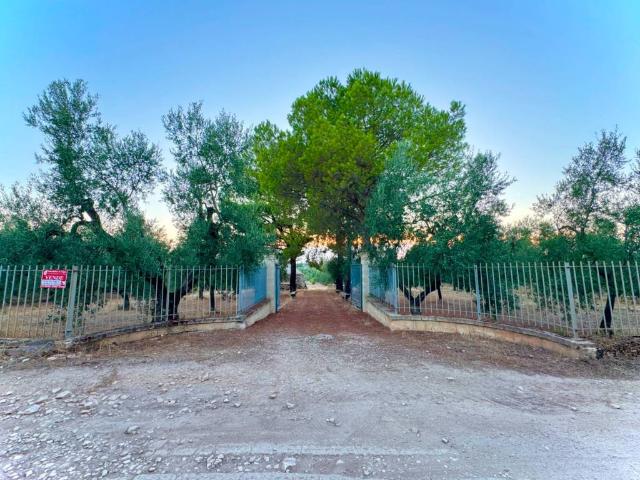 Terreno in vendita a Puglia, Barletta-andria-trani