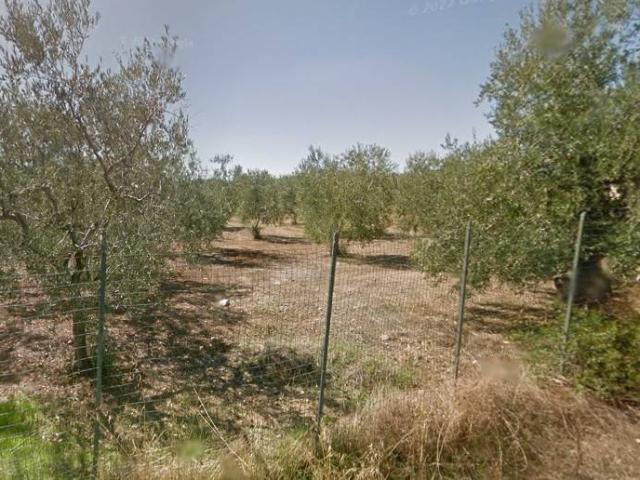 Terreno in vendita a Puglia, Barletta-andria-trani