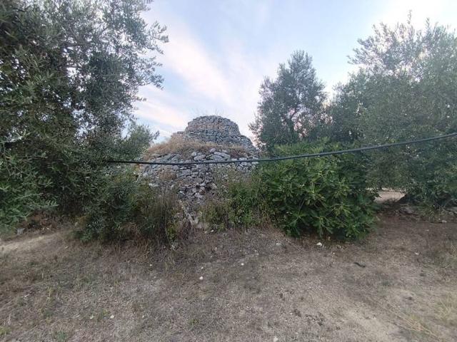 Terreno in vendita a Puglia, Barletta-andria-trani