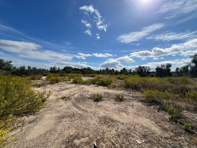 Terreno in vendita a Puglia, Barletta-andria-trani