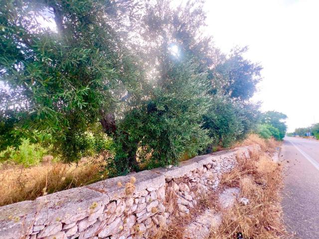 Terreno in vendita a Puglia, Barletta-andria-trani