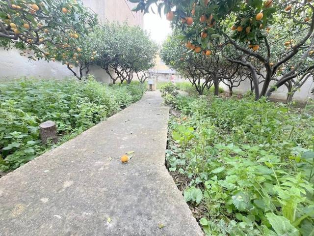 Terreno in vendita a Trapani, Sicilia