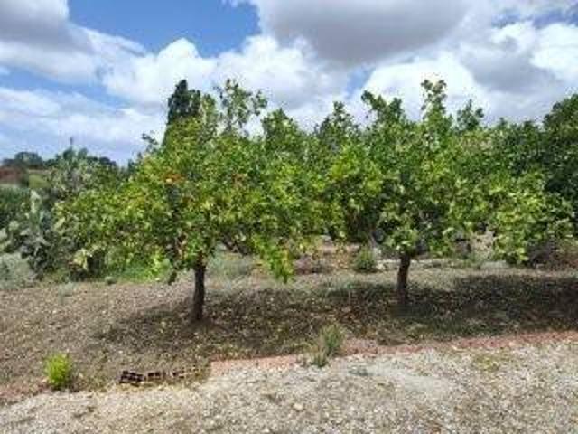 Terreno in vendita a Trapani, Sicilia