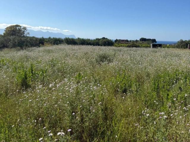 Terreno in vendita a Partinico, Sicilia