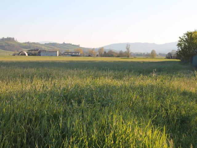 Terreno in vendita a Traversetolo, Reggio Emilia