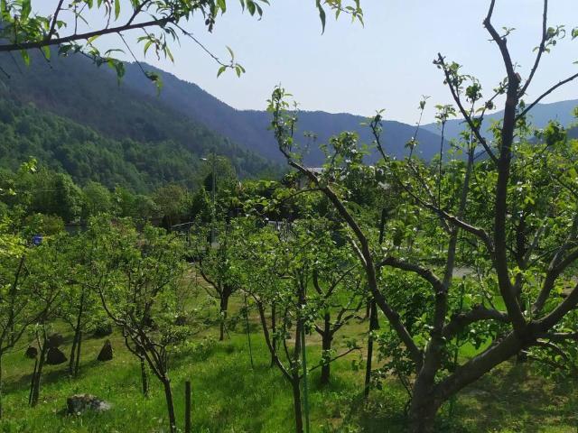 Terreno in vendita a Unione Montana Alpi Graie, Piemonte