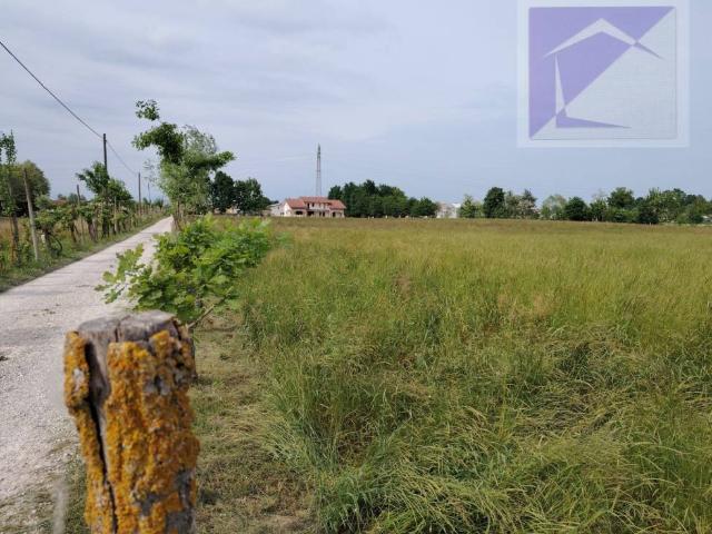 Terreno in vendita a Trebaseleghe, Veneto