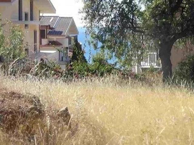 Terreno in vendita a Calabria, Cosenza