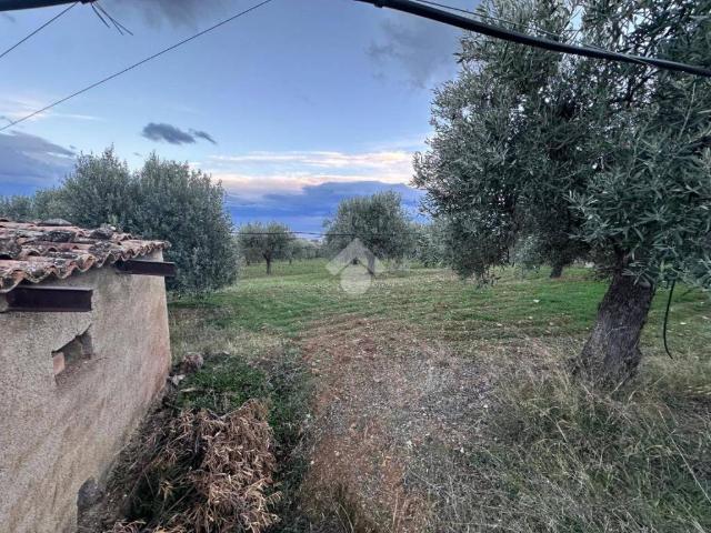 Terreno in vendita a Calabria, Cosenza