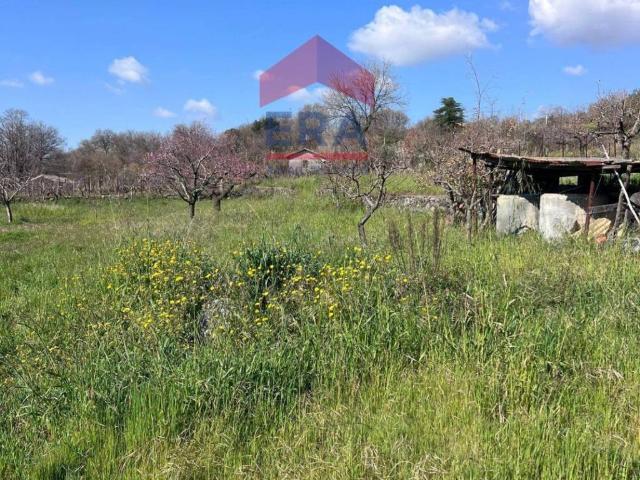 Terreno in vendita a Trecastagni, Sicilia