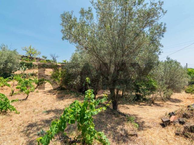 Terreno in vendita a Trecastagni, Sicilia