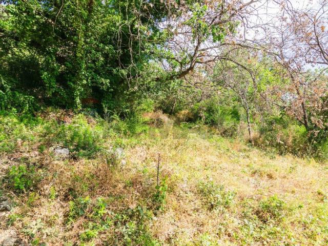 Terreno in vendita a Trecastagni, Sicilia
