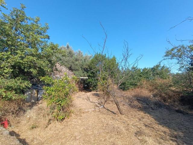 Terreno in vendita a Gaglianesi, Trecastagni