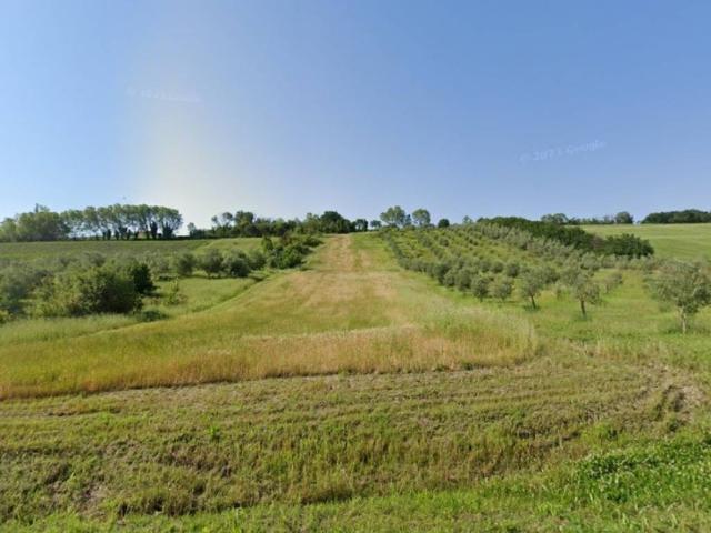 Terreno in vendita a Trecastelli, Marche