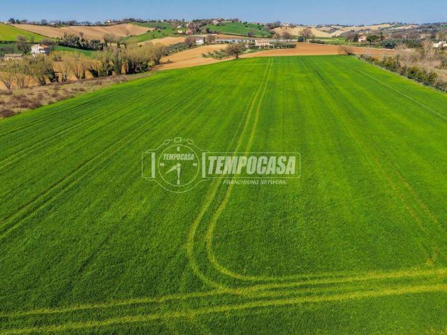 Terreno in vendita a Trecastelli, Marche