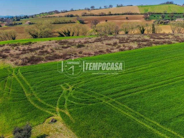 Terreno in vendita a Trecastelli, Marche