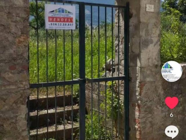 Terreno in vendita a Trecchina, Basilicata