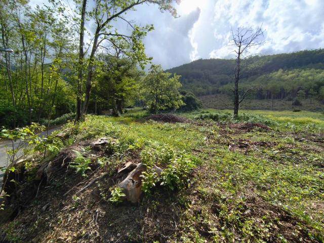 Terreno in vendita a Trecchina, Basilicata