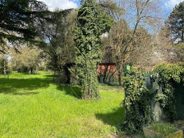 Terreno in vendita a Trecenta, Veneto