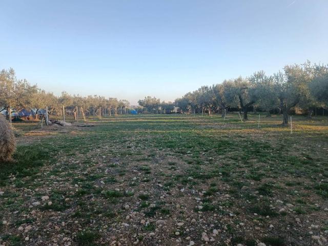 Terreno in vendita a Treglio, Abruzzo