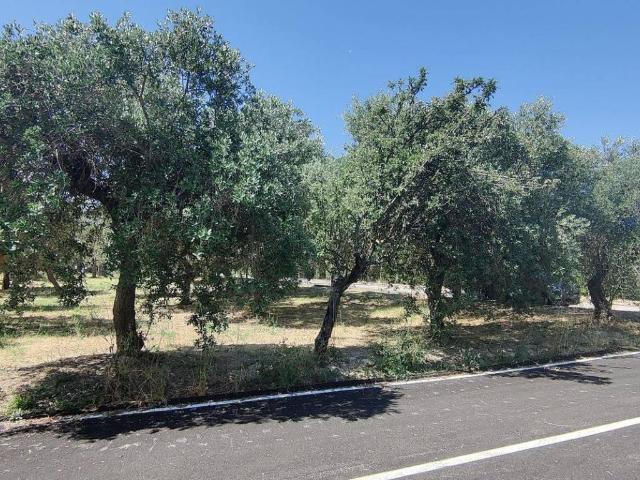 Terreno in vendita a Treglio, Abruzzo
