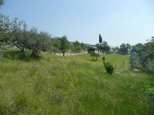 Terreno in vendita a Tregnago, Veneto