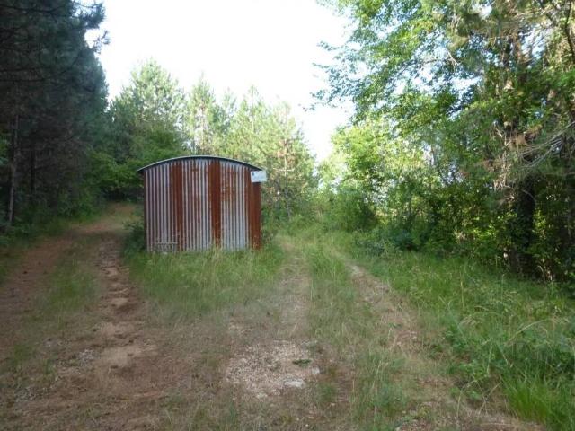 Terreno in vendita a Tregnago, Veneto