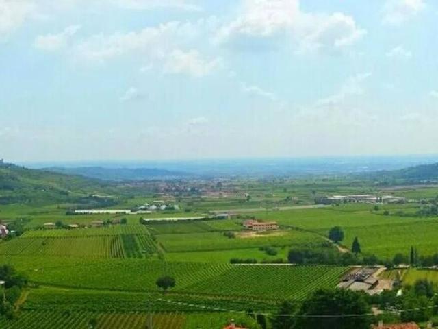 Terreno in vendita a Tregnago, Veneto