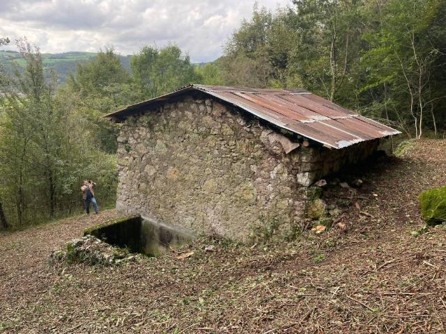 Terreno in vendita a Tregnago, Veneto