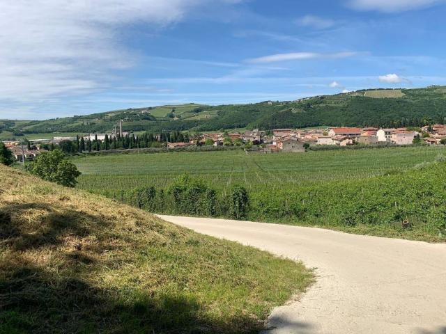 Terreno in vendita a Tregnago, Veneto