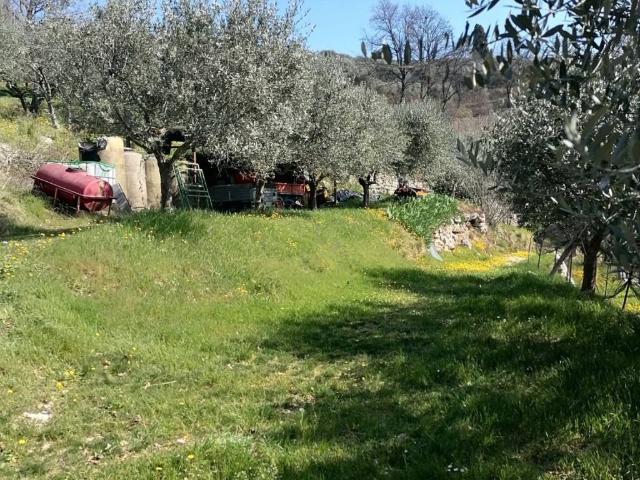 Terreno in vendita a Tregnago, Veneto