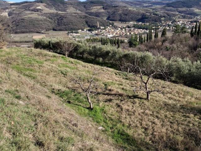 Terreno in vendita a Tregnago, Veneto